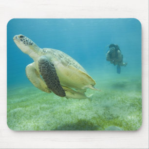 Schildkröte Mousepad