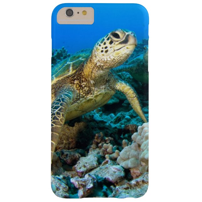 Schildkröte-Paare Case-Mate iPhone Hülle (Rückseite)