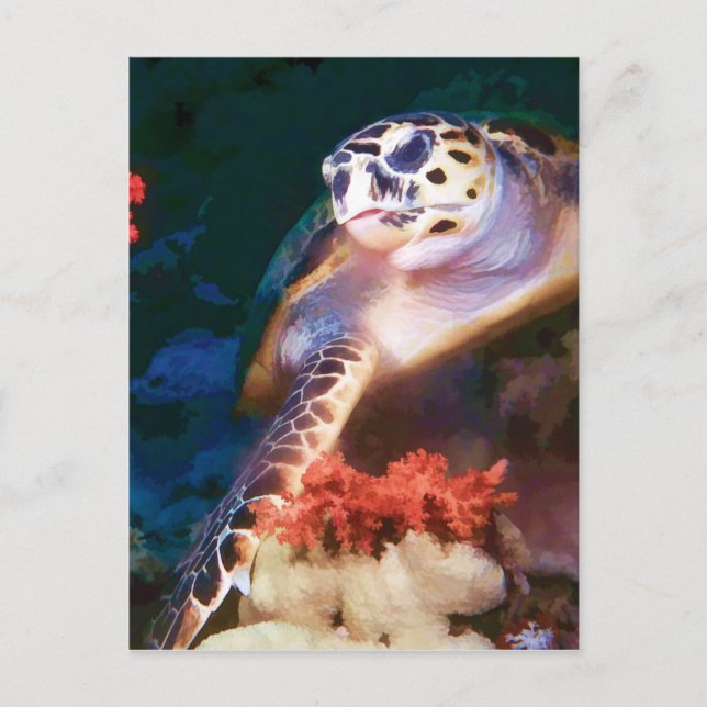 Schildkröte Postkarte (Vorderseite)