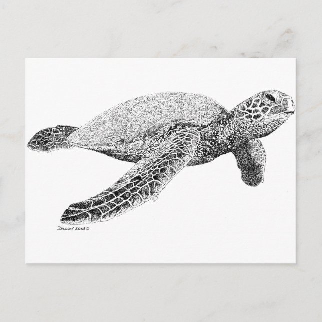 Schildkröte Postkarte (Vorderseite)