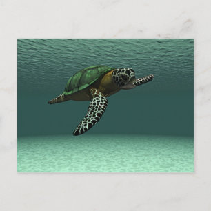 Schildkröte Postkarte