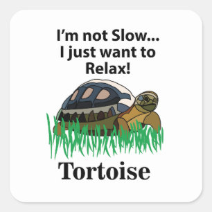 Schildkröte Relax Tier Süß Lustig Quadratischer Aufkleber