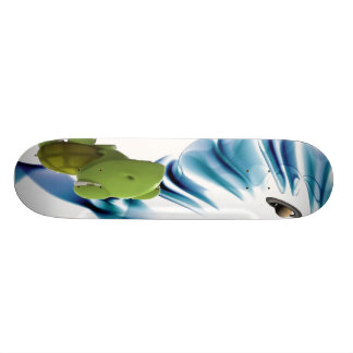 Schildkröte Saturn Skateboard