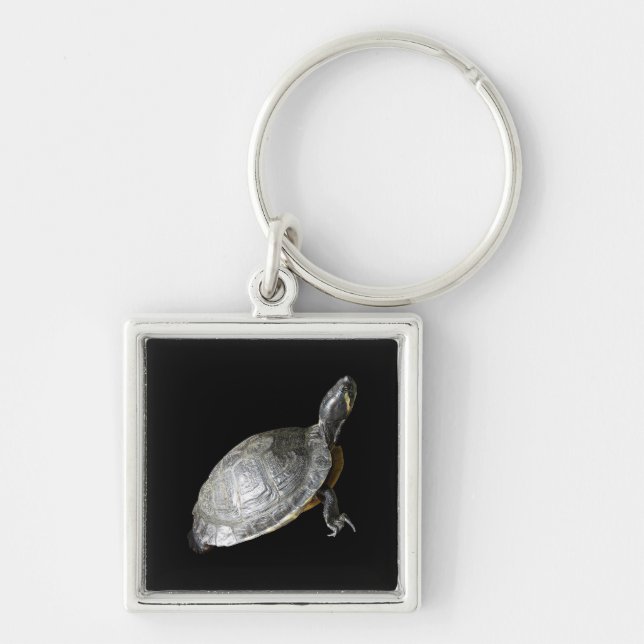 Schildkröte Schlüsselanhänger (Vorne)