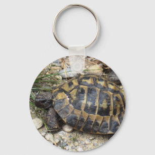 Schildkröte Schlüsselanhänger