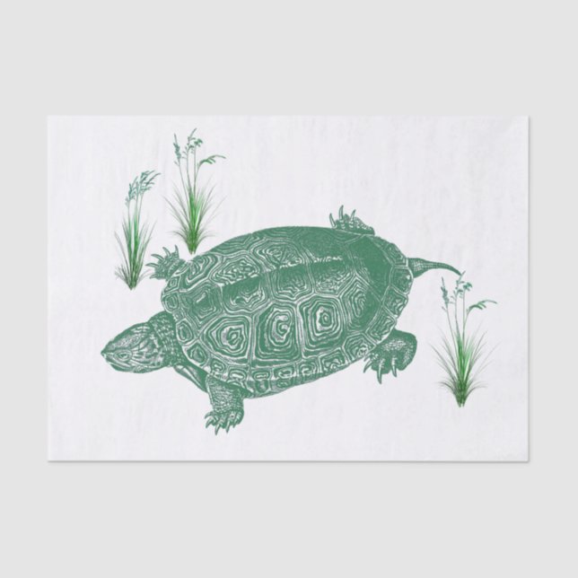 Schildkröte Seidenpapier (Vorderseite)