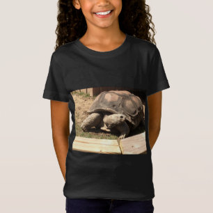 Schildkröte-Shirt T-Shirt