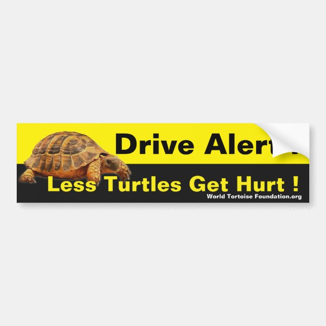 Schildkröte-Sicherheits-Autoaufkleber Autoaufkleber (Vorne)