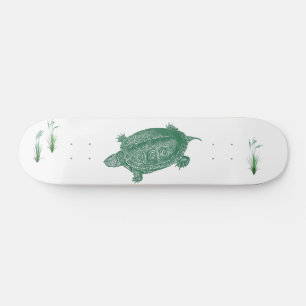 Schildkröte Skateboard