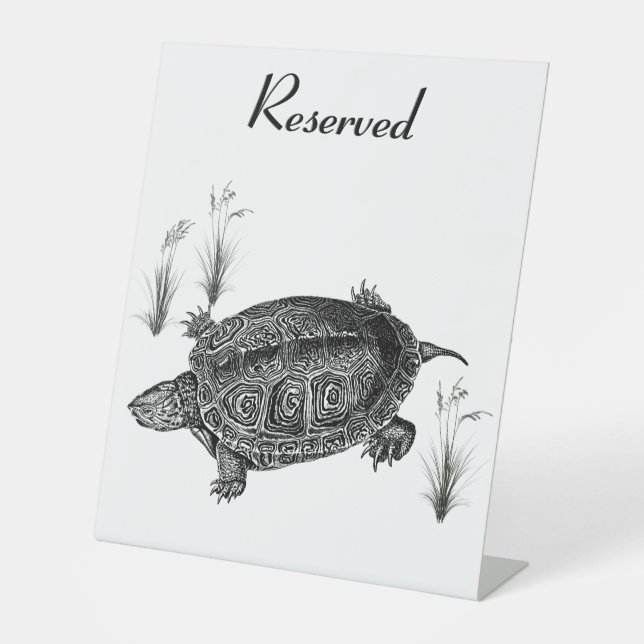 Schildkröte Sockelschild (Vorderseite)