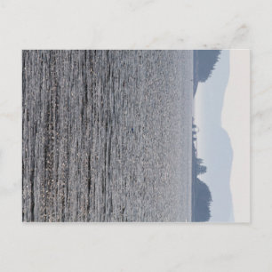 Schildkröte, Spektakel und Monte Wüste Islands, Ma Postkarte