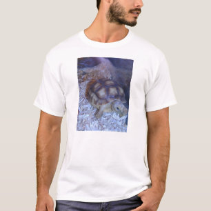Schildkröte T-Shirt