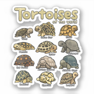 Schildkröte Tiere der Welt Niedliche Reptilien Sch Aufkleber