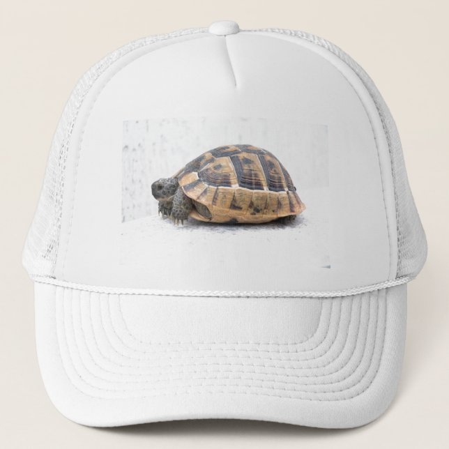 Schildkröte Truckerkappe (Vorderseite)