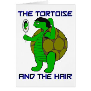 Schildkröte und die Haar-Karte (freier Raum nach