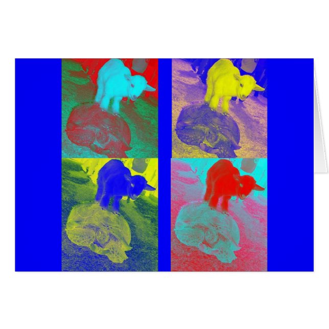 Schildkröte und die Ziege (Vorderseite (Horizontal))