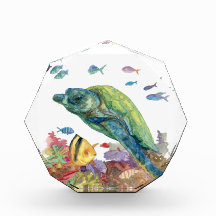 Schildkröte und Fische im Meer