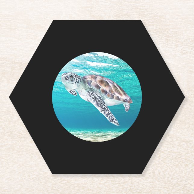 Schildkröte Untersetzer (Vorderseite)