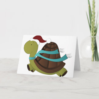 Schildkröte Weihnachten