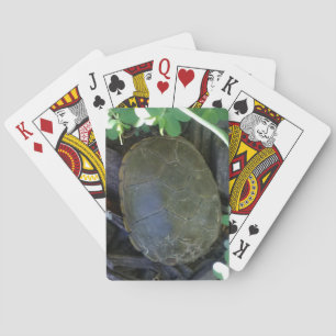Schildkröte zwischen Grünpflanzen Spielkarten