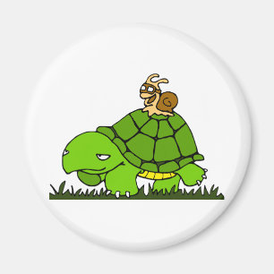 Schildkrötefahrt Magnet