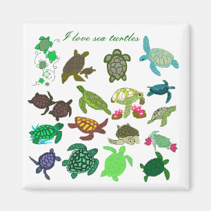 Schildkrötemagnet der Liebe I See- besonders Magnet
