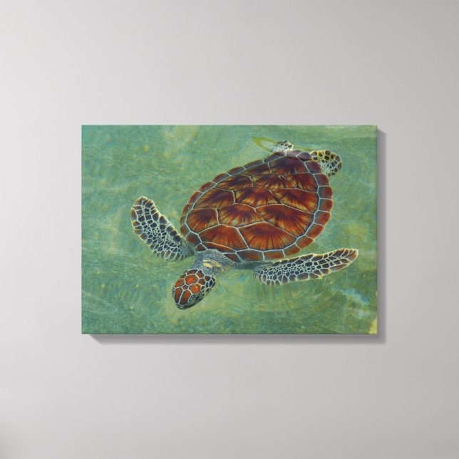 Schildkröten auf Leinwand (Vorderseite)