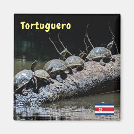 Schildkröten im Tortuguero Nationalpark - Costa Ri Magnet