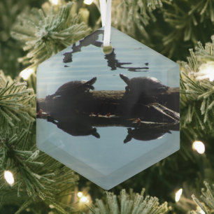 Schildkröten-Interaktions-Schmuck Ornament Aus Glas