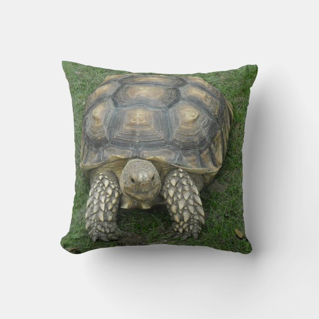 Schildkröten-Kissen Kissen (Vorderseite)