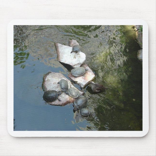 Schildkröten Mousepad (Vorne)