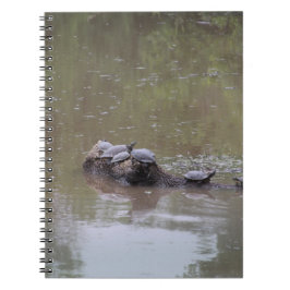 Schildkröten Notizblock