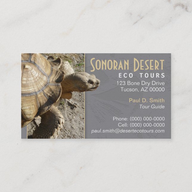 Schildkröten-/Schildkröte-Visitenkarte Visitenkarte (Vorderseite)