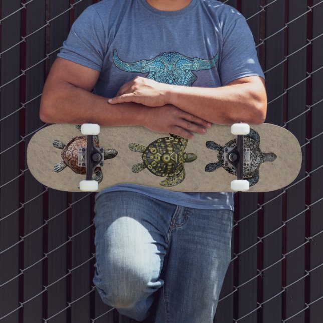 Schildkröten Skateboard (Außenbereich 3)