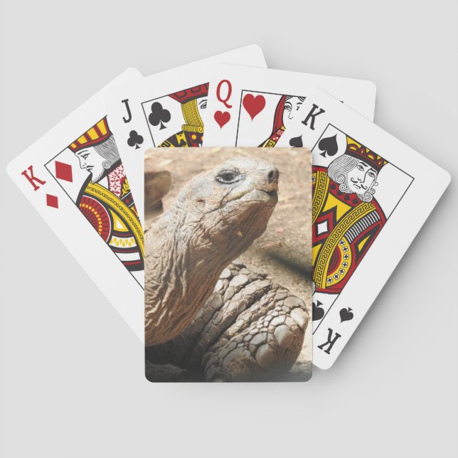 Schildkröten-Spielkarten Spielkarten (Rückseite)