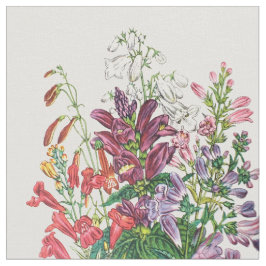 Schildkröten und Beardtongues Stoff