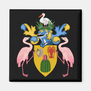 Schildkröten und Kaikosinseln Magnet