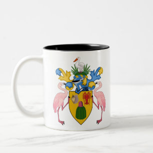 Schildkröten und Kaikosinseln Zweifarbige Tasse