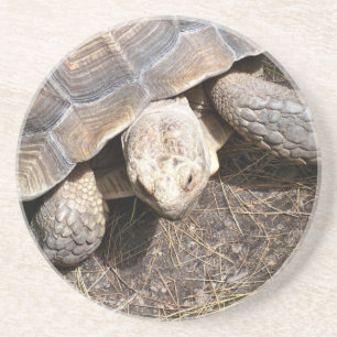 Schildkröten-Untersetzer Getränkeuntersetzer