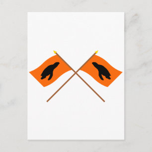 Schildkrötenfahnen Postkarte