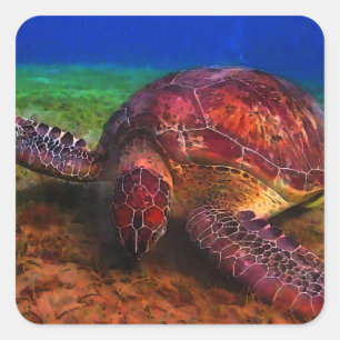 Schildkrötenkleber Quadratischer Aufkleber