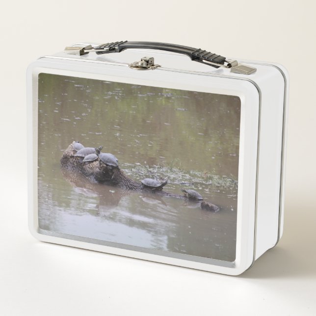 Schildkrötenlunch Metall Brotdose (Vorderseite)