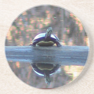 Schildkrötenreflektion Untersetzer