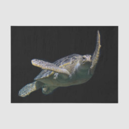 Schildkrötenschwimmbecken Foto Seidenpapier