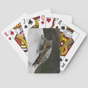 Schildkrötenspielkarten Spielkarten