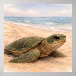 Schildkrötenstrand  poster