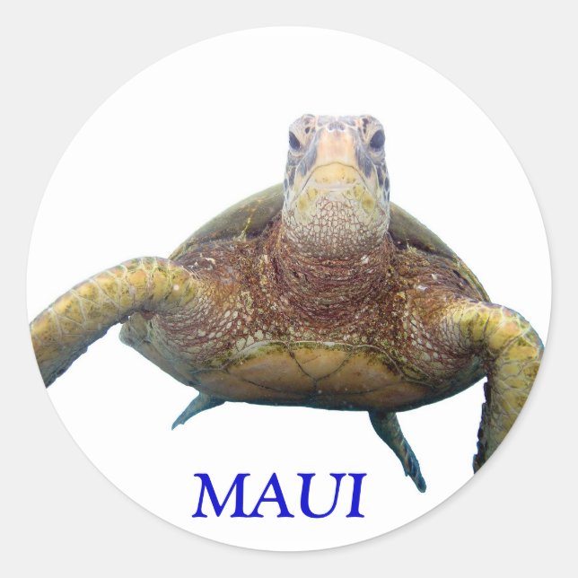 Schildkrötentruhe, MAUI Runder Aufkleber (Vorderseite)