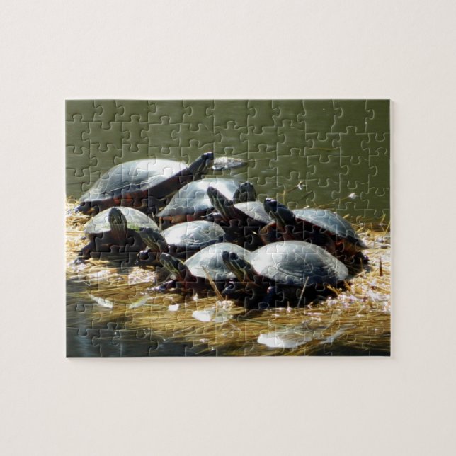 Schildkrötentrupp (Horizontal)