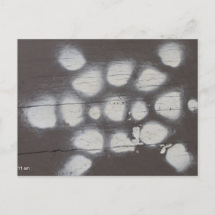 Schildkrötenüberquerung Postkarte