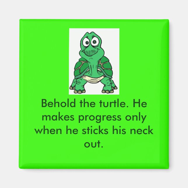 Schildkrötenwahrheit Magnet (Vorne)